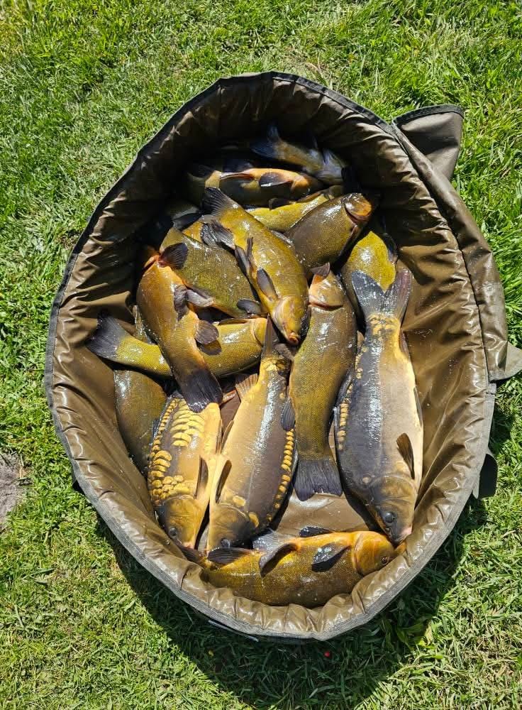 Sezon 2025 WhatsApp 30